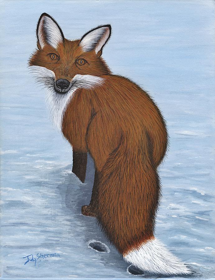 Making Tracks - Red Fox Painting by Judy Sherman - Fine Art America