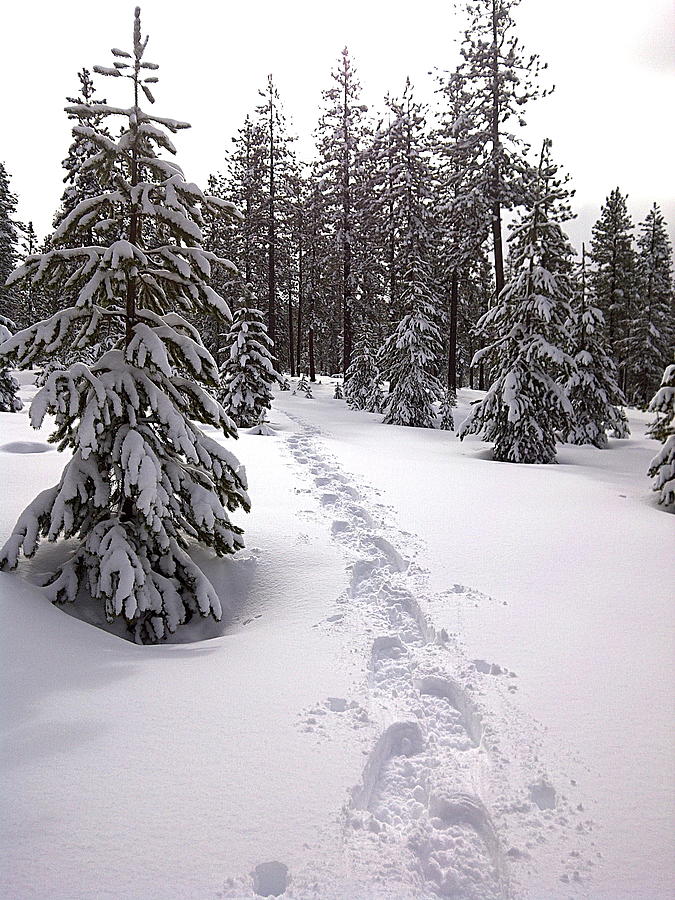 Making Tracks by TJ Scar Making Tracks by TJ Scar