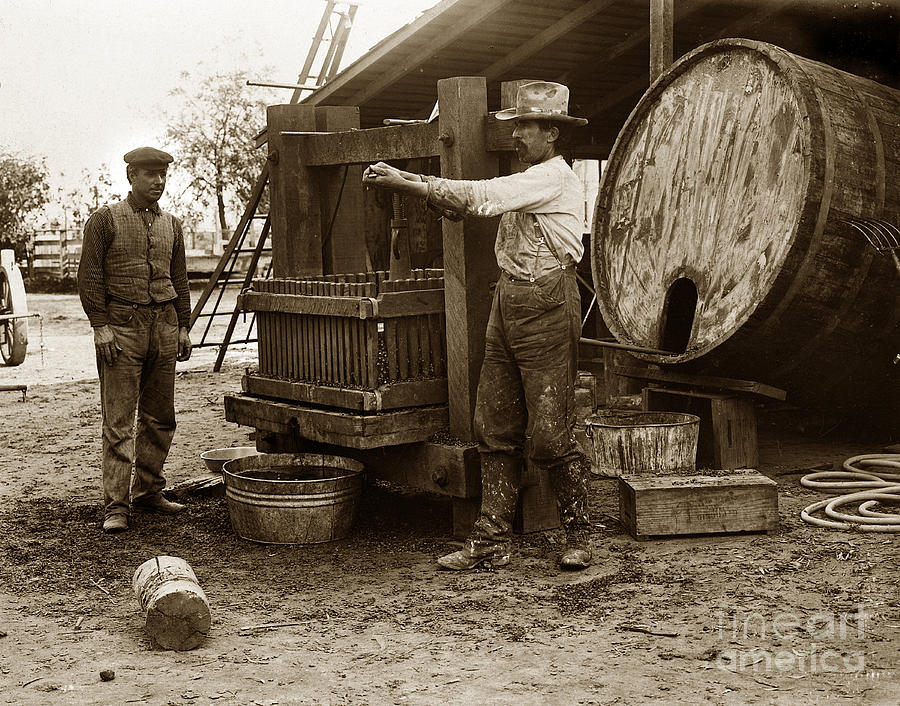 Making Wine Photograph - Making wine old wine press circa 1905 by Monterey County Historical Society
