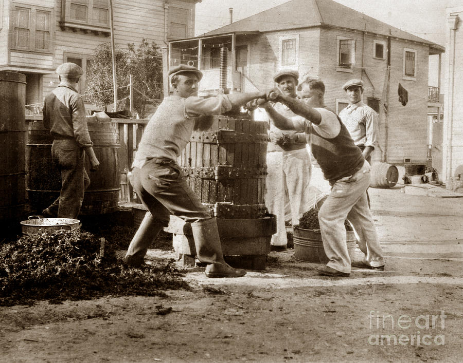 Wine Photograph - Italians  Making wine old wine press Monterey Circa 1920 by Monterey County Historical Society