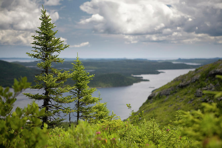 Malady Head Photograph by Sebastien Kempter Pixels