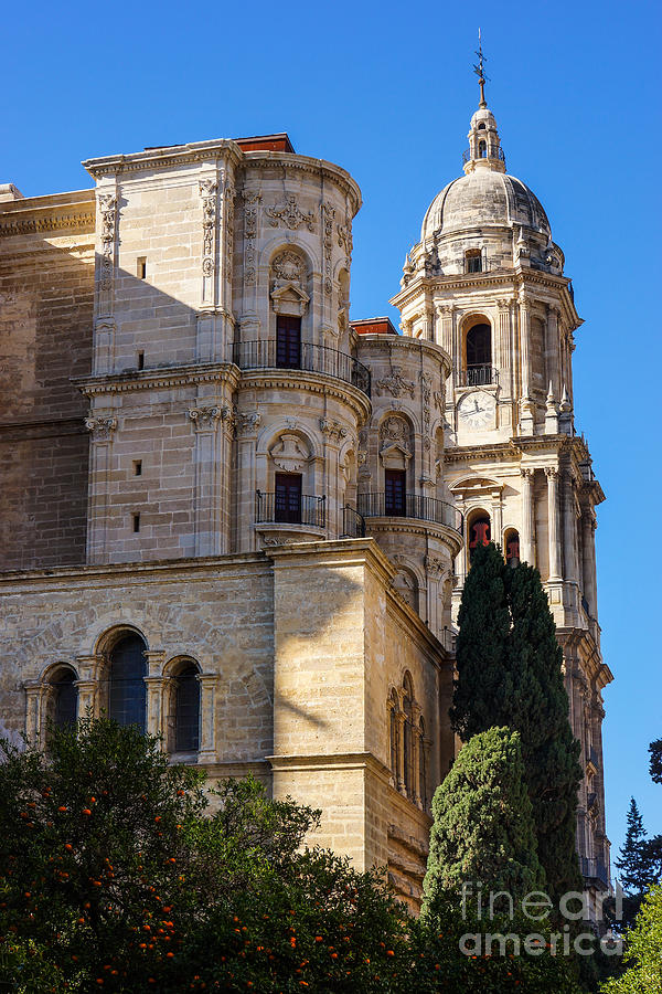 Malaga Cathedral Photograph by Lutz Baar