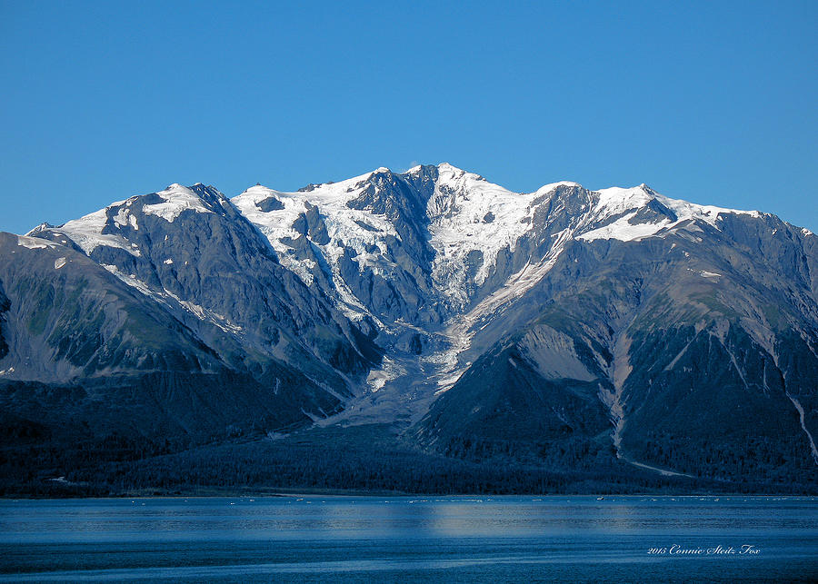 Tree Photograph - Malaspina Glacier, Yakutat Bay Alaska Seascapes by Connie Fox