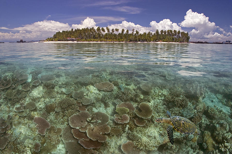 Paradise Photograph - Malaysia, Mabul Island by Dave Fleetham - Printscapes