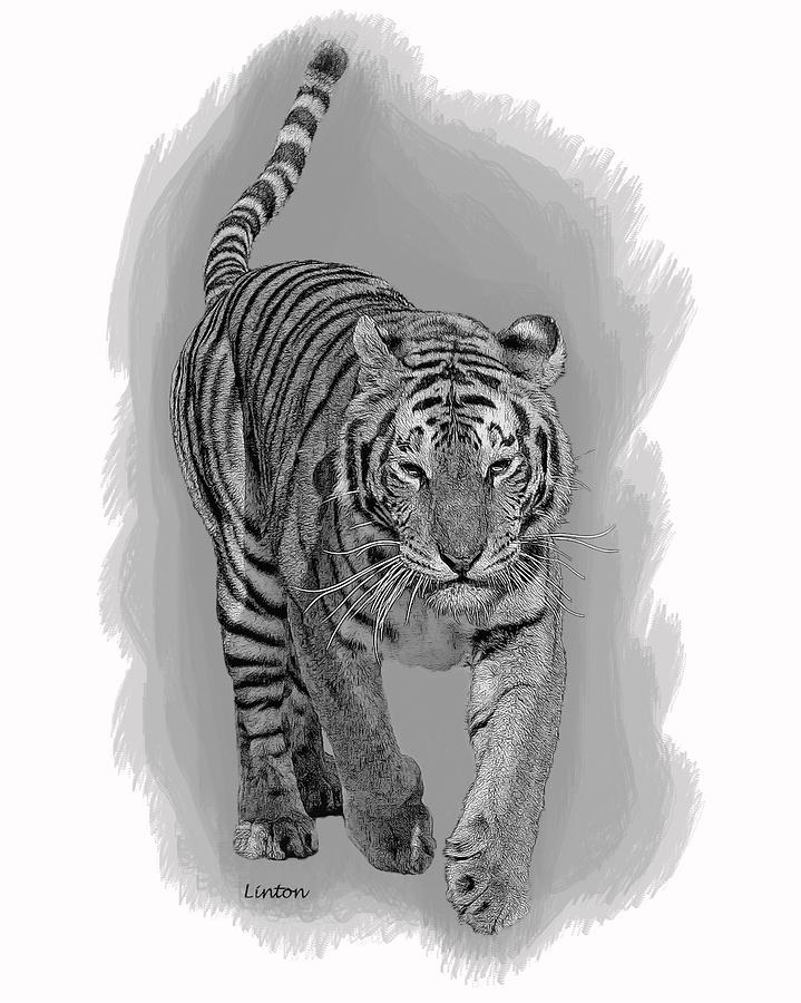 Malaysian Tiger Digital Art by Larry Linton