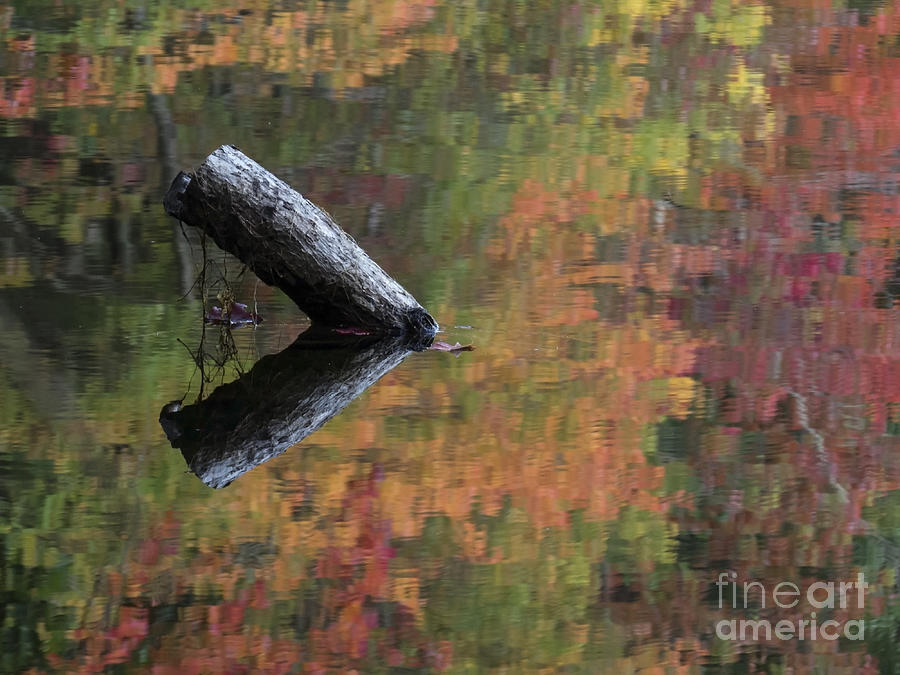Malbourn Pond Abstract Photograph by Lili Feinstein