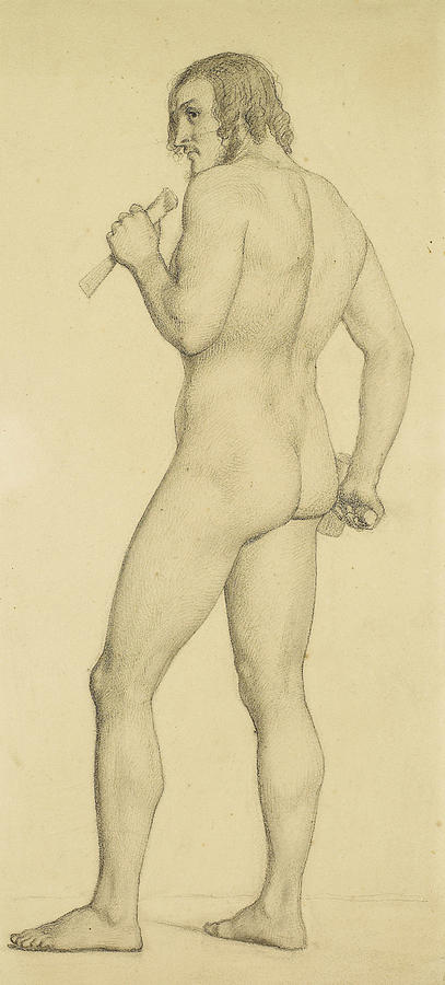 Male - Academic nude Study posed as a Sculptor Drawing by Ford Madox Brown
