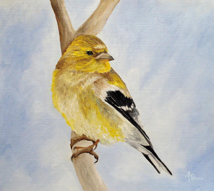 Finch Painting - Male American Goldfinch  by Angeles M Pomata