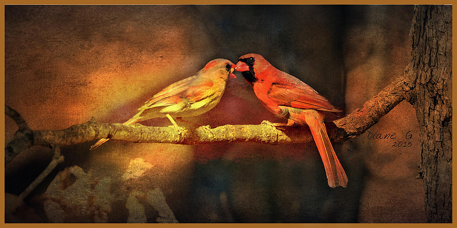 Male and Female Cardinal Photograph by Diane Giurco