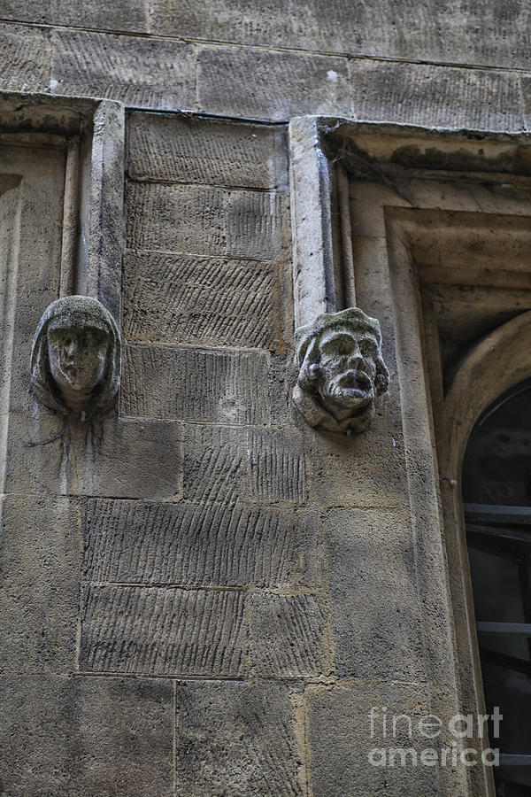 Male and female gargoyle Photograph by Patricia Hofmeester
