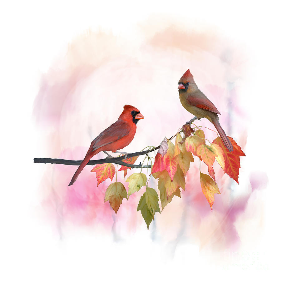 Male and Female Northern Cardinals watercolor Digital Art by Svetlana