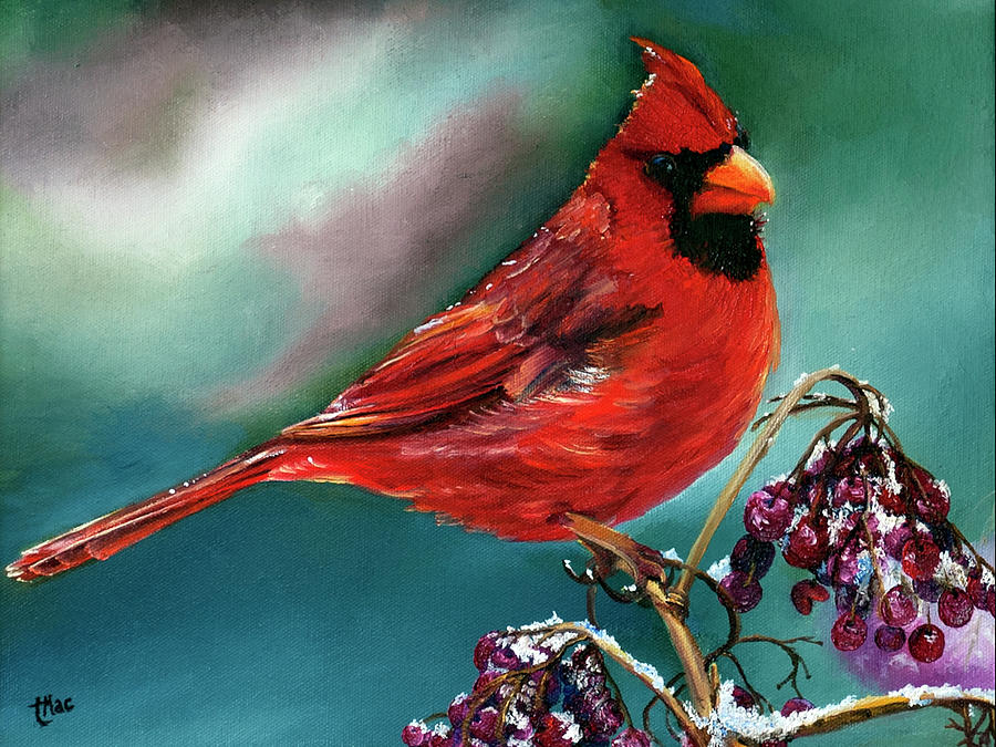 Bird Painting - Male Cardinal and Snowy Cherries by Terry R MacDonald