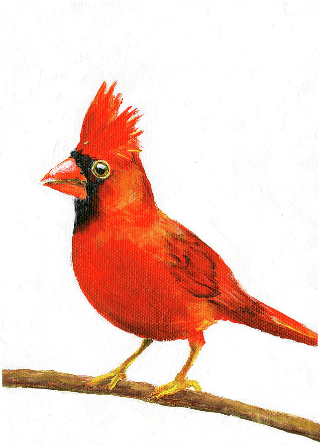 Male Cardinal Painting by Donna Tucker