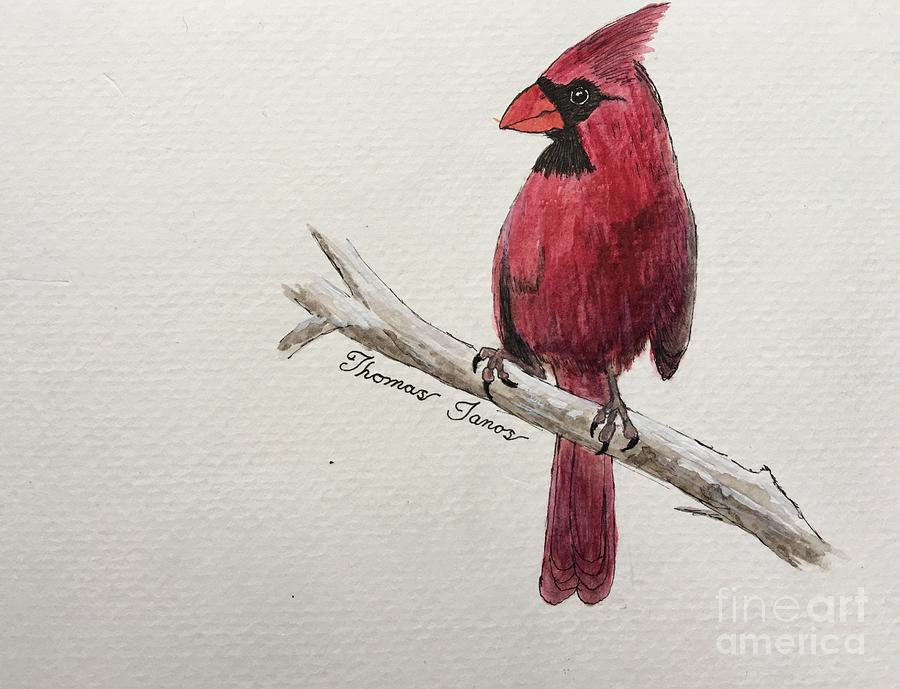 Male Cardinal in winter Painting by Thomas Janos