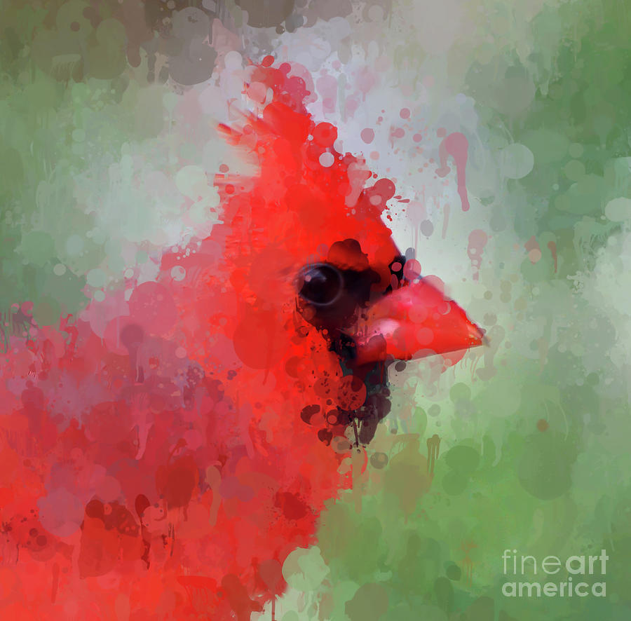 Male Cardinal - Paint Splatter Photograph by Kerri Farley