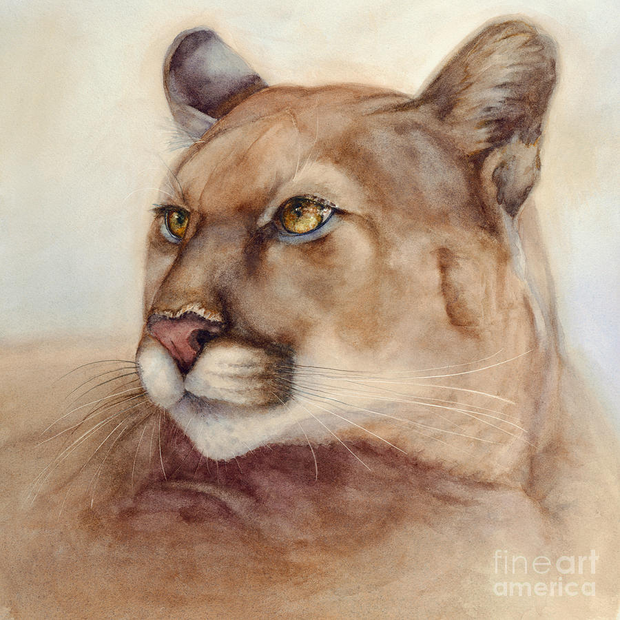 Male Cougar Painting by Bonnie Rinier