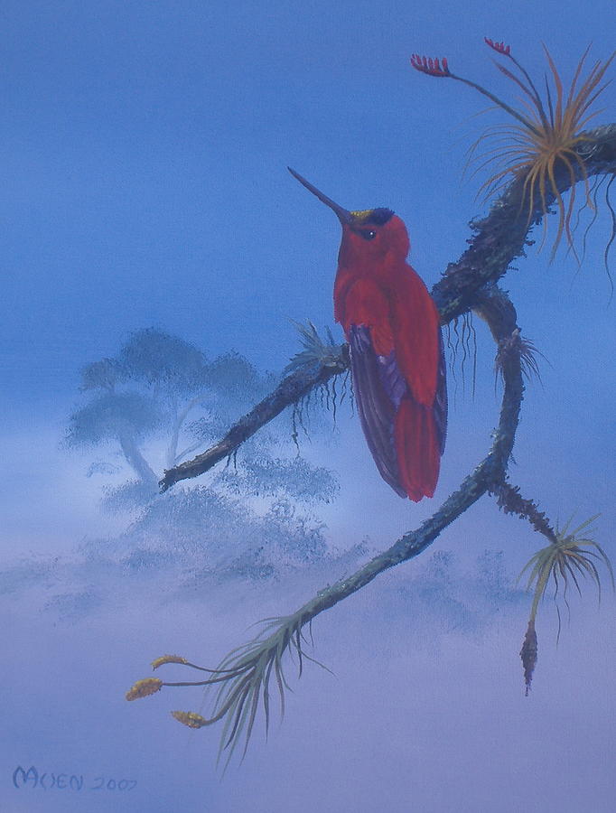 Male Firecrown Painting by Michael Allen