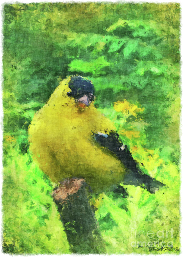 Male Goldfinch - Digital Effect II  Photograph by Debbie Portwood