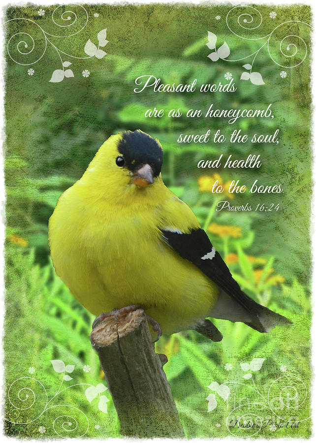 Male Goldfinch with Verse Photograph by Debbie Portwood