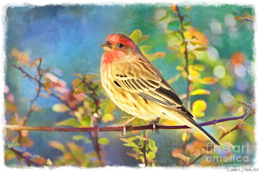 Male Housefinch with Colorful Leaves - Digital Paint 1  Photograph by Debbie Portwood