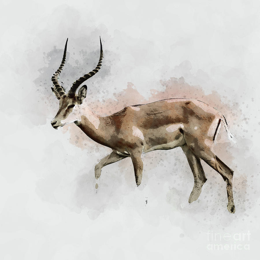 male impala Aepyceros me 2 Digital Art by Humorous Quotes