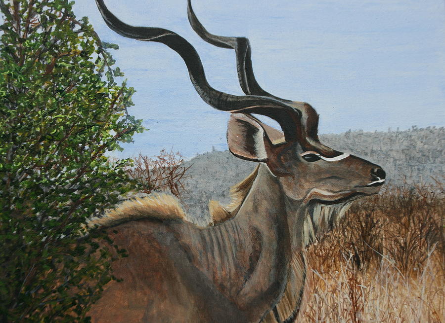 Male Kudu Antelope Painting by Betty-Anne McDonald