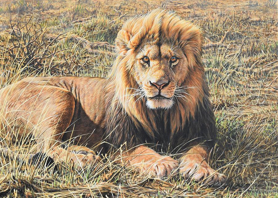 Male Lion Portrait Painting by Alan M Hunt