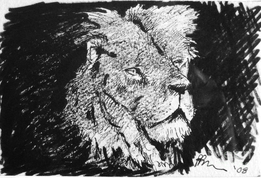 Male Lion Portrait Drawing by Paul Miller