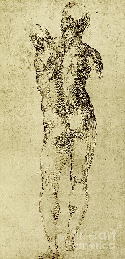 Greek Drawing - Male nude by Michelangelo