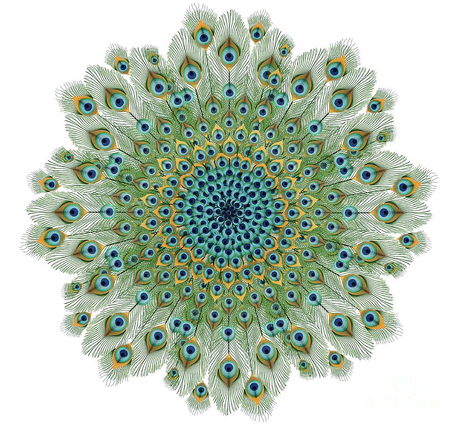 Peacock Digital Art - Male Peacock Colorful Mandala by Gazanfer Gungor
