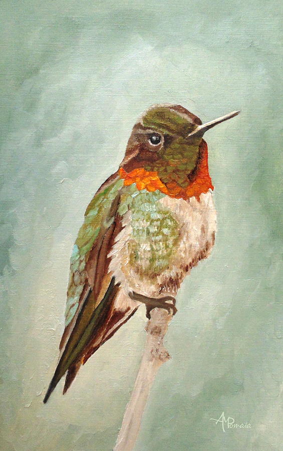 Male Ruby-throated Hummingbird Painting by Angeles M Pomata