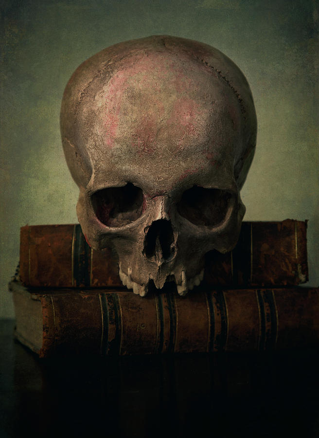 Male skull and old books Photograph by Jaroslaw Blaminsky