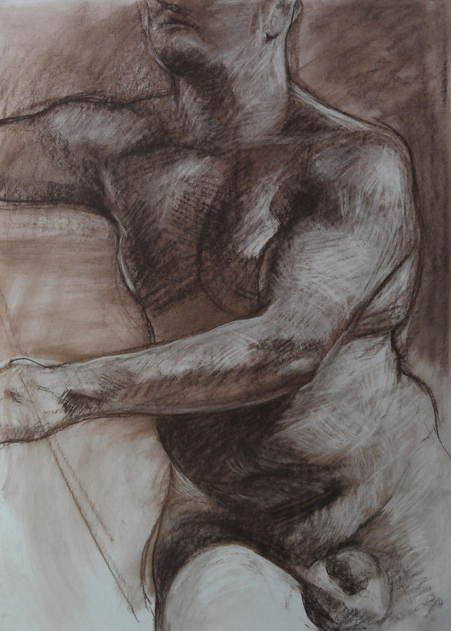 Male Torso Drawing by Harry Robertson