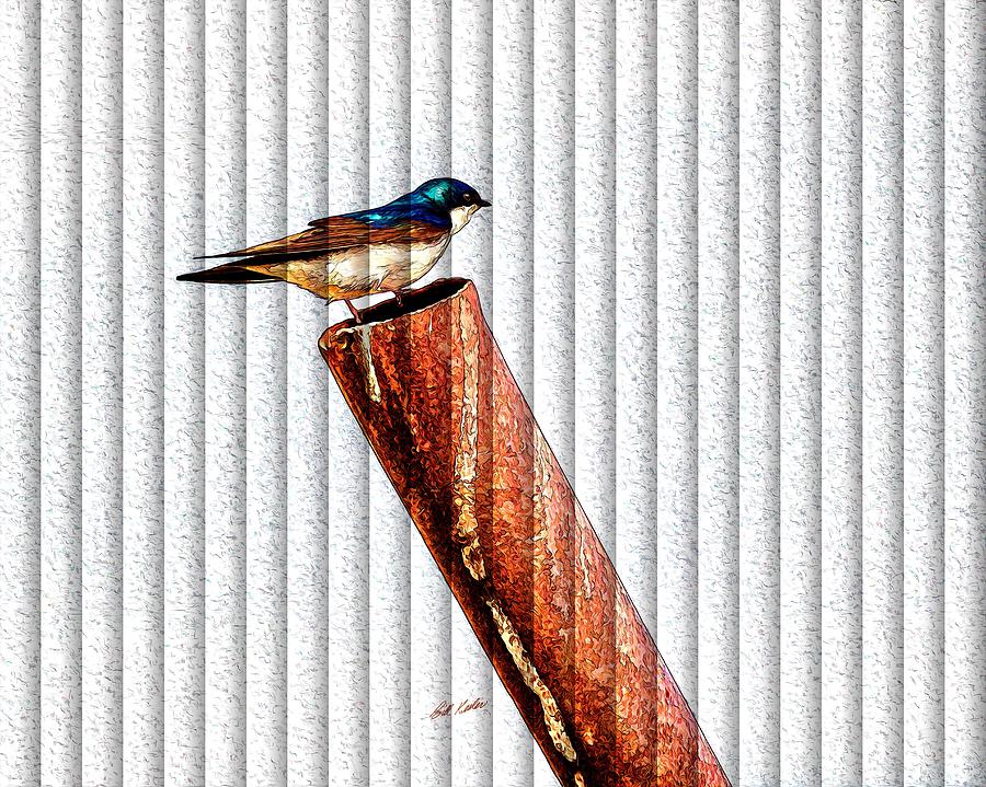 Male Tree Swallow No. 1 - The Slat Collection Photograph by Bill Kesler