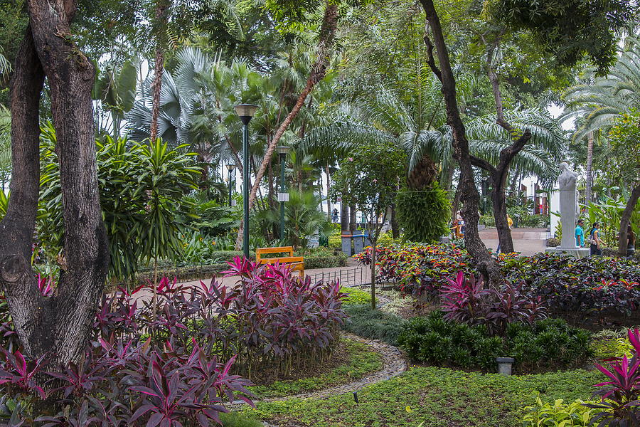 Malecon Gardens, Guayquill, Ecuador Photograph by Robert McKinstry