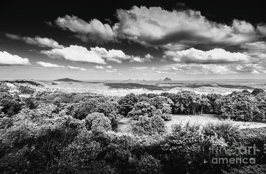 Maleny black and white landscape Photograph by Jorgo Photography