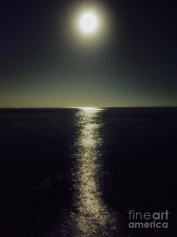 Malibu Moon Photograph by Maureen J Haldeman