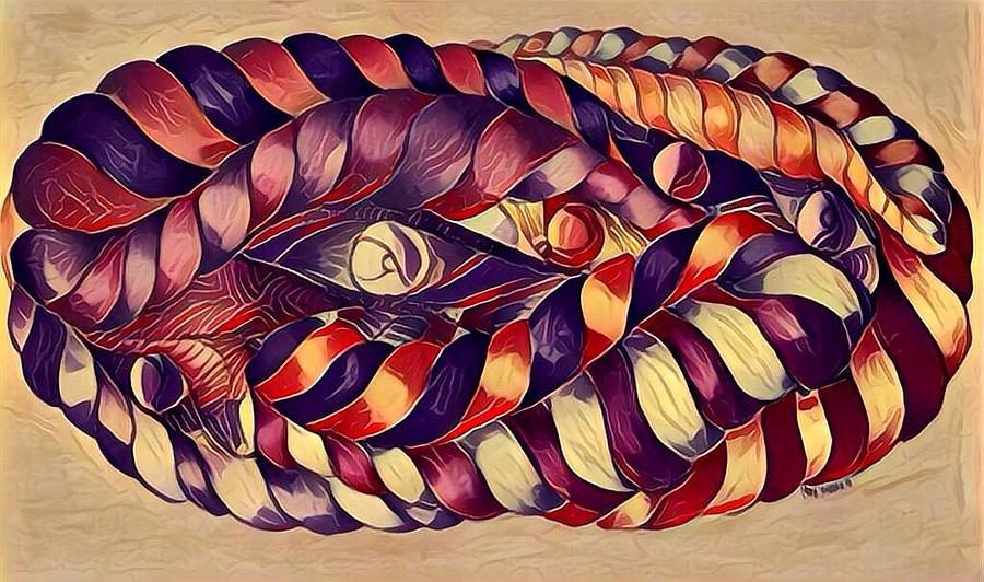 Silk spiraled 1 Digital Art by Megan Walsh