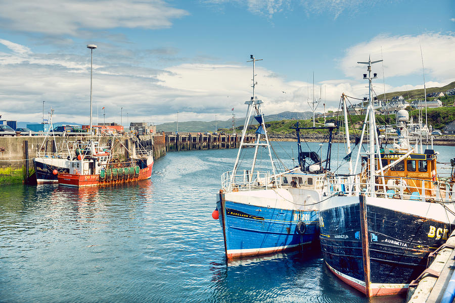 Mallaig Harbour Photograph by Ray Devlin