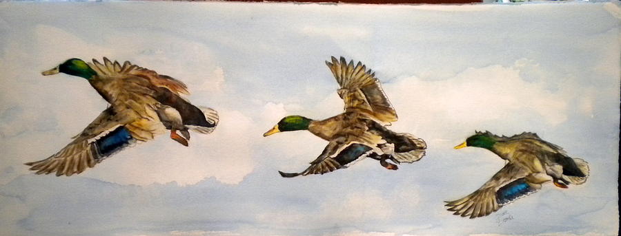 Mallard 3 in flight Painting by Diane Ziemski