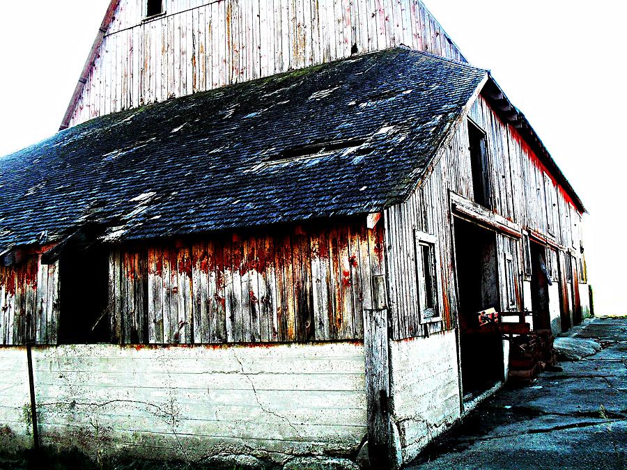 Barn Photograph - Mallard Barn by Julie Hamilton