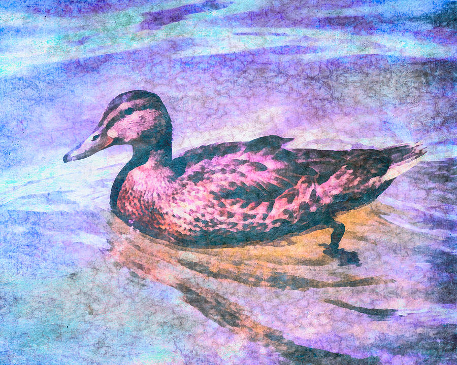 Duck Digital Art - Mallard Duck Art by Priya Ghose