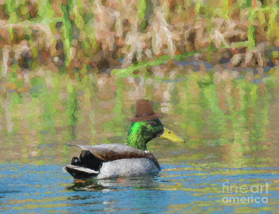 Mallard duck with a warm felt hat - painterly Photograph by Les Palenik
