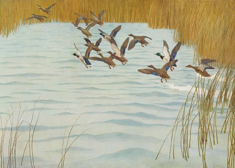 Fall Painting - Mallards in Autumn by Newell Convers Wyeth