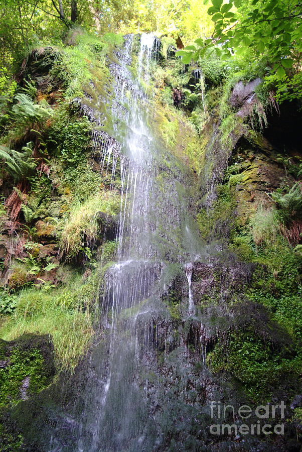 Mallion Spout Photograph by Roy Palmer - Pixels