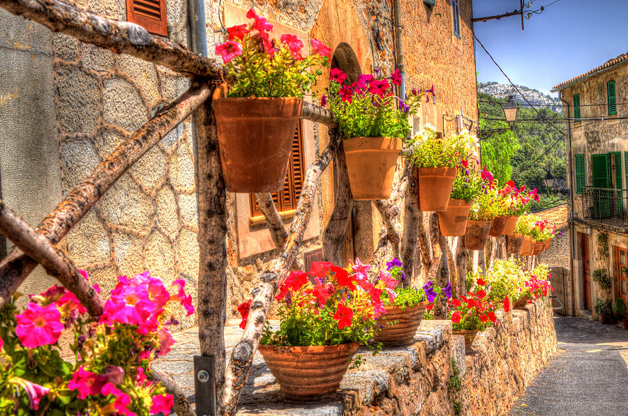 Mallorca - Flower Power in Valldemossa Photograph by Juergen Seibertz ...