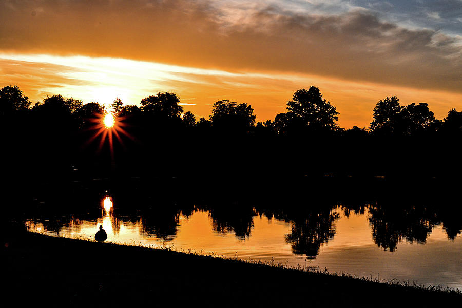Mallory Lake Sunset With Duck Photograph