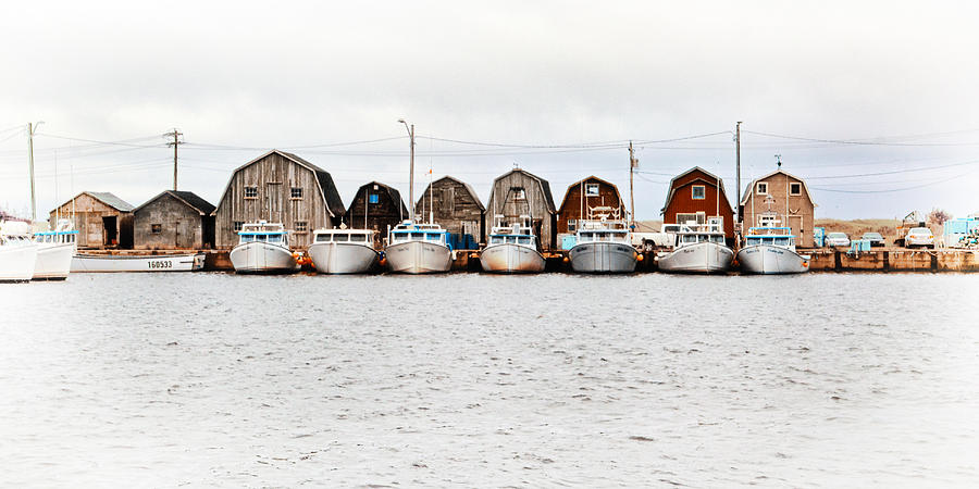 Malpeque Harbour Line-up Photograph by Carolyn Derstine