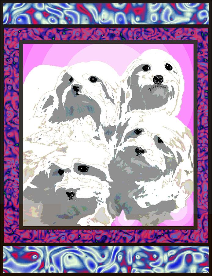 Maltese Digital Art - Maltese Group by Kathleen Sepulveda Maltese Digital Art - Maltese Group by Kathleen Sepulveda