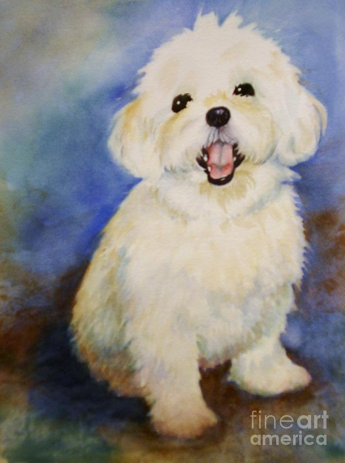 Maltese Named Ben Painting by Marilyn Jacobson